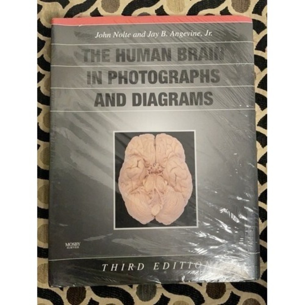 New The Human Brain In Photographs And Diagrams 3e By Nolte PhD John 3rd Edition